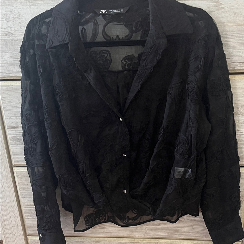 Zara Black Sheer Embroidered Blouse